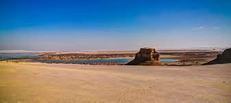 Excellent trip to Fayoum