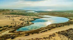 Spend a day trip to Fayoum