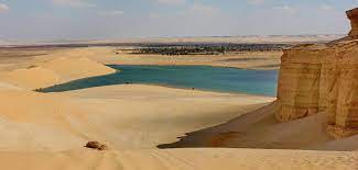 Spend a day trip to Fayoum