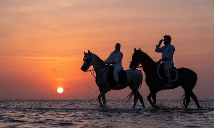 Enjoy horse riding in King Abdullah Economic City