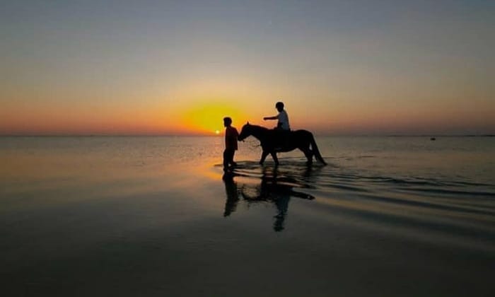 Enjoy horse riding in King Abdullah Economic City