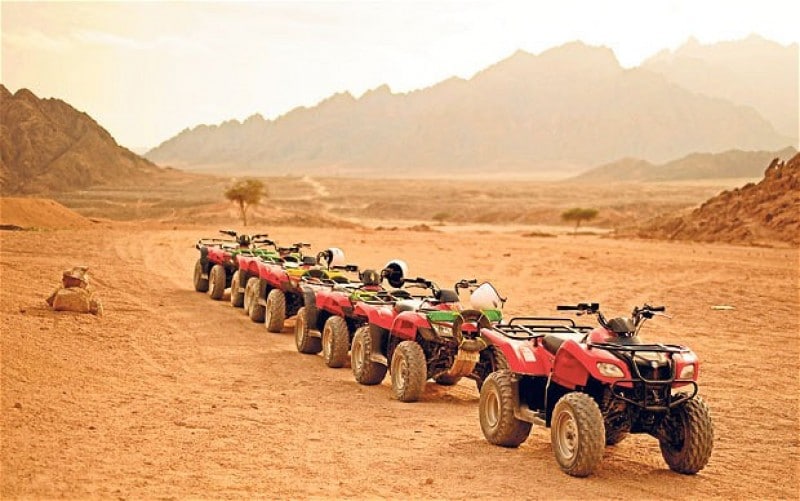 Enjoy Safari trip in Sharm el shiekh