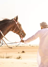 ركوب الخيل في دبي