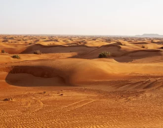 رحلة اليوم الواحد إلى الفيوم 