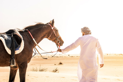 ركوب الخيل في دبي