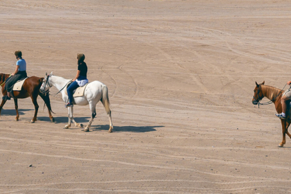 ركوب الخيل في الأحساء