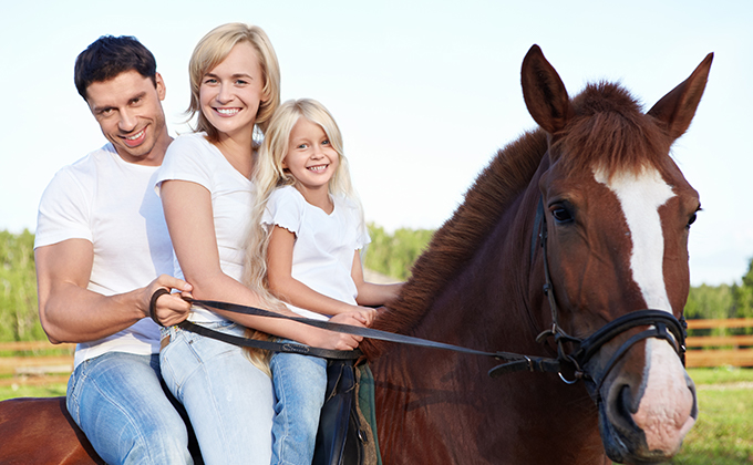 day trip to family park with horse riding