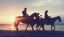 Spend an amazing day with horses on beach 