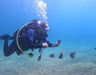 Enjoy discovering the hafmon diving