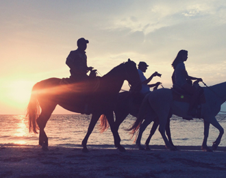 Spend an amazing day with horses on beach 