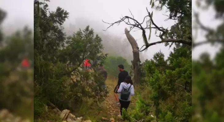 Do you want to try Hiking in Abha? this trip  your chance