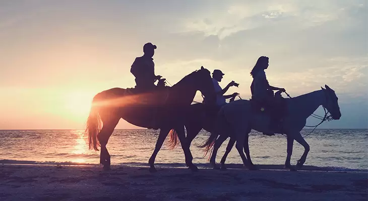 Spend an amazing day with horses on beach 