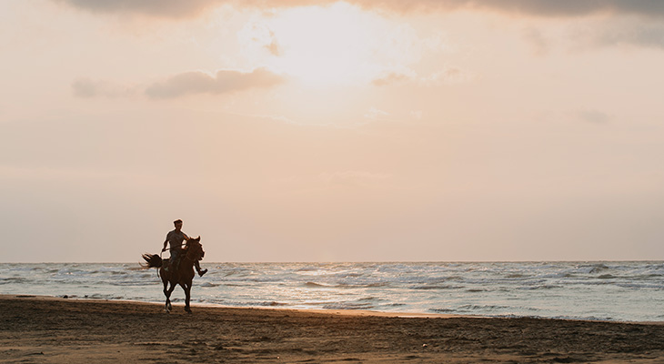 Spend an amazing day with horses on beach 