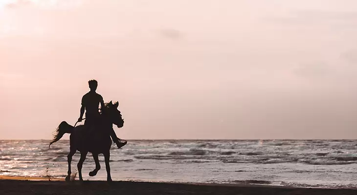 Spend an amazing day with horses on beach 