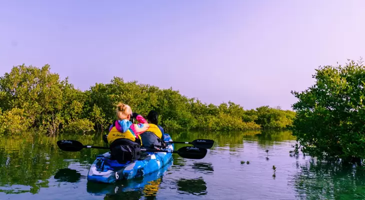  kayaking and paddle boarding in Qatar 