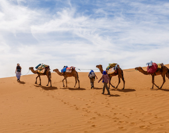 3 hours of Camel Trekking Tour in Abu Dhabi