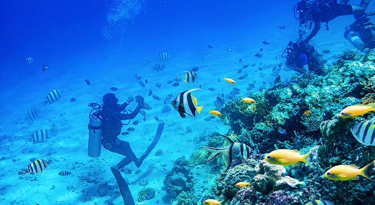 Have amazing experience in scuba diving in Dibba Fujairah