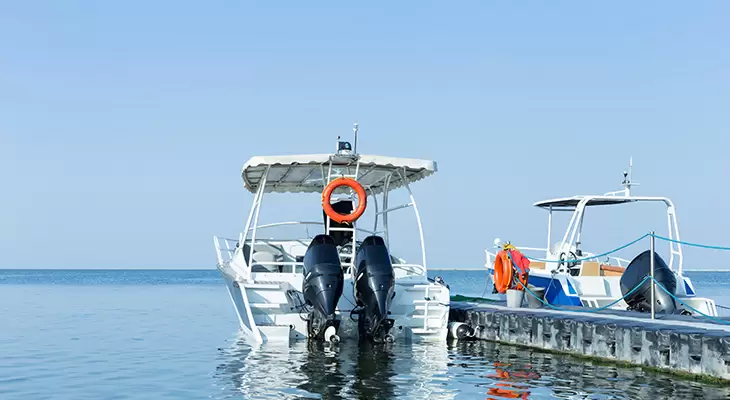 Relax for one hour on a boat trip