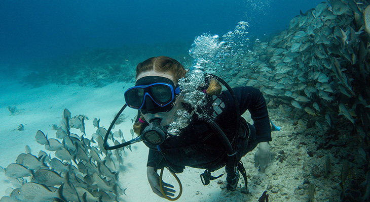 Unparalleled snorkeling experience from Fujairah