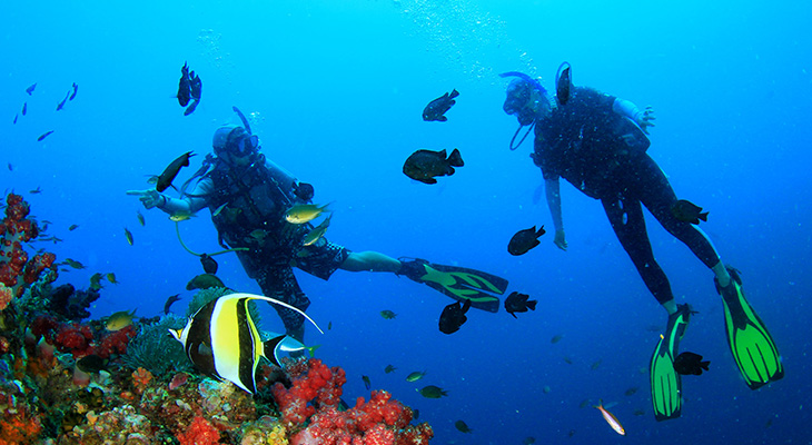 Unparalleled snorkeling experience from Fujairah