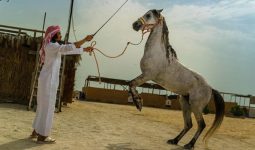 Experience an amazing Horse Riding tour in Khobar