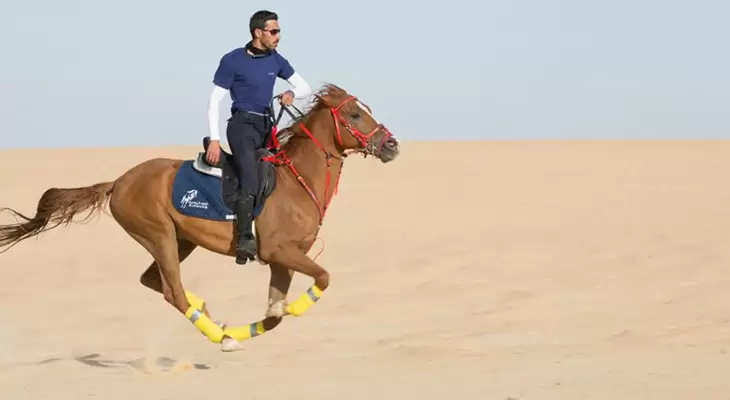 استمتع بجولة رائعة لركوب الخيل في الخبر