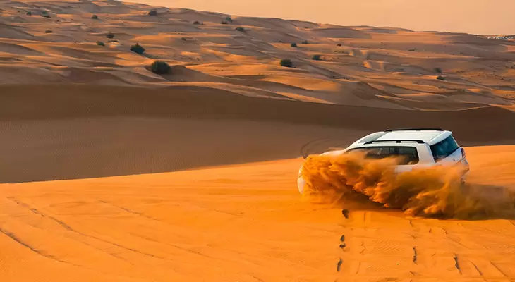 Magical 4 hours desert safari tour 