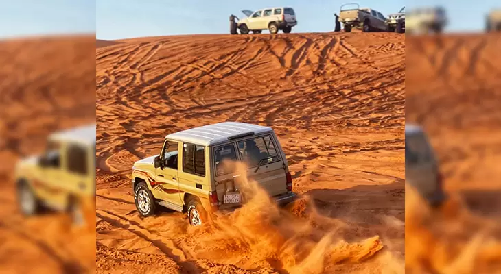 A magical Safari tour with wrangler cars 