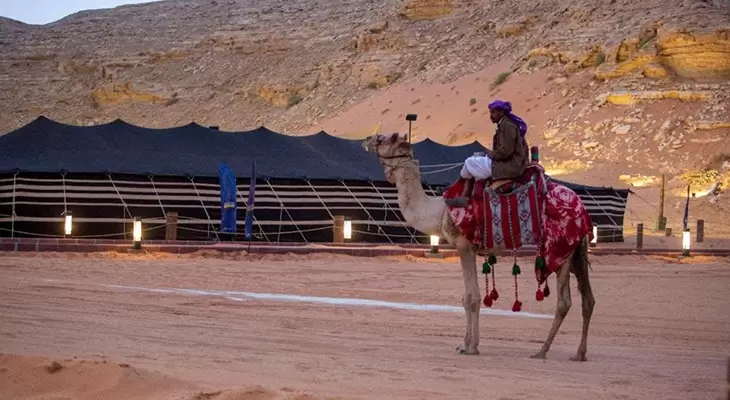 Camel Ride in the Desert of Riyadh 