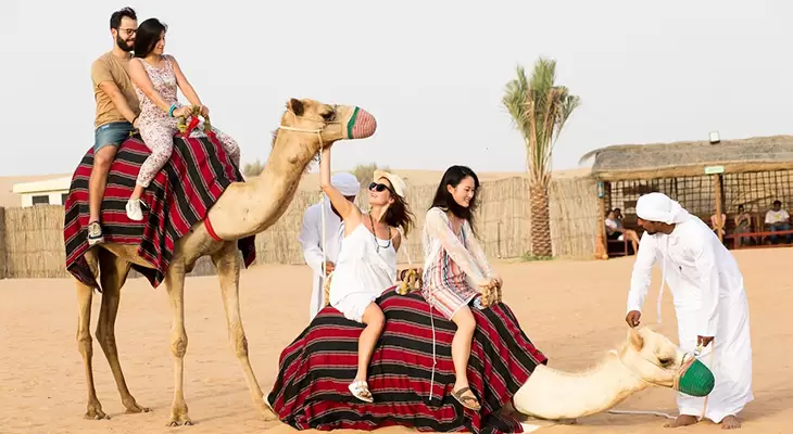 couples on camels