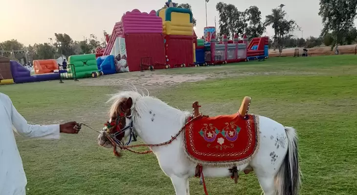 Horse riding course in Riyadh