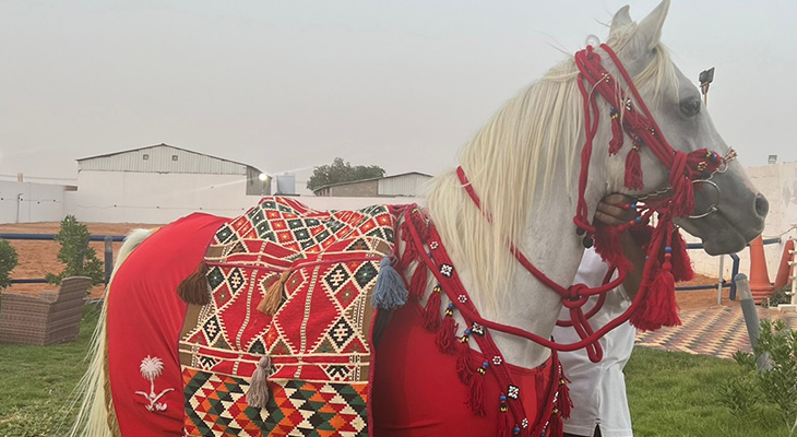 Horse riding course in Riyadh