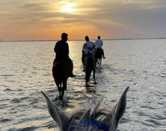 Horse Riding Adventure in Dhahban beach