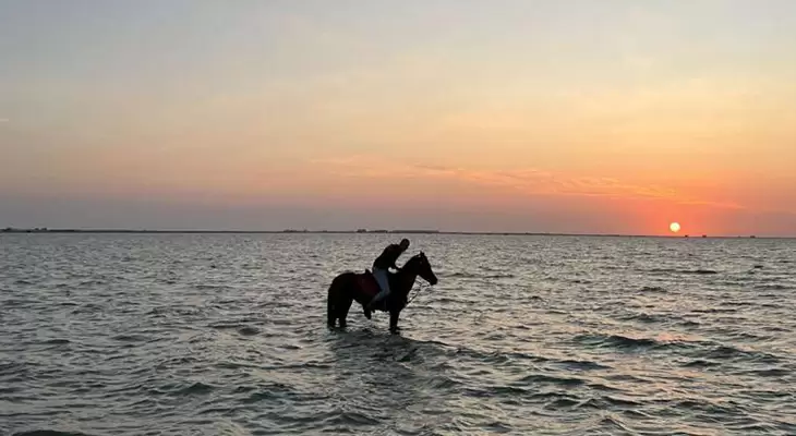 Enjoy Horse Riding on The Beach for 2 Hours + 1 Hour Free!