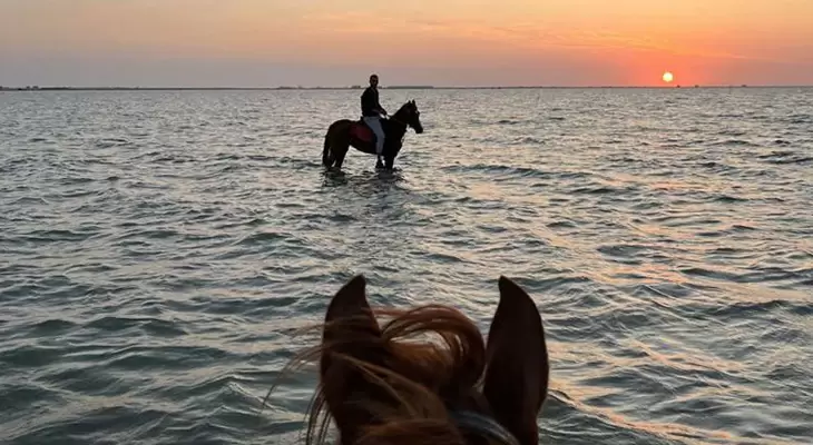 Enjoy Horse Riding on The Beach