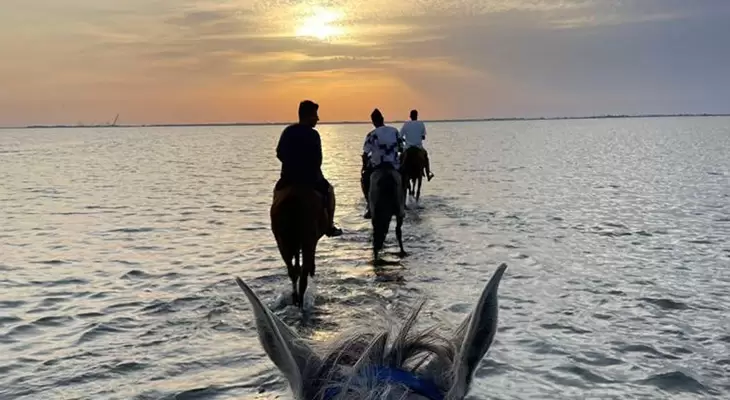 Enjoy Horse Riding on The Beach