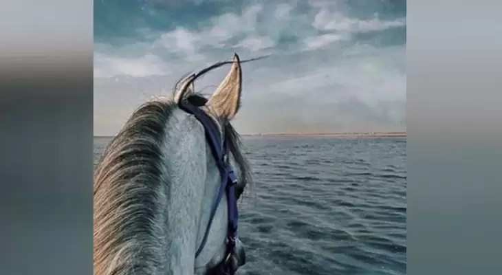 Enjoy Horse Riding on The Beach