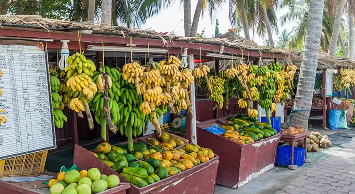 Half Day Salalah City Tour 