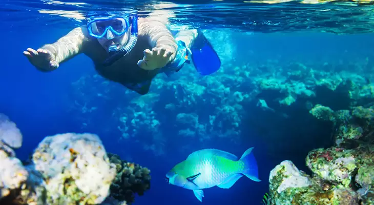 4 Hours Snorkeling Experience with All Equipment 