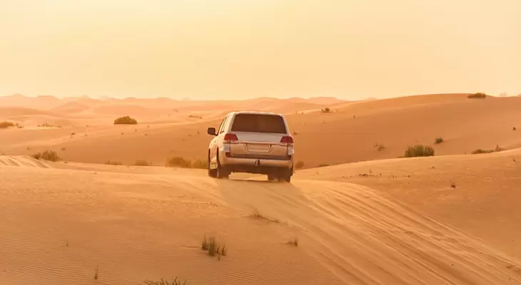 Silver Evening Safari with BBQ Package with 30% Off