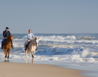 Horse Riding on the Beach in Salalah for 2 Hours