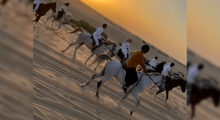 One hour Horse Riding in Dammam with Professional Captains 