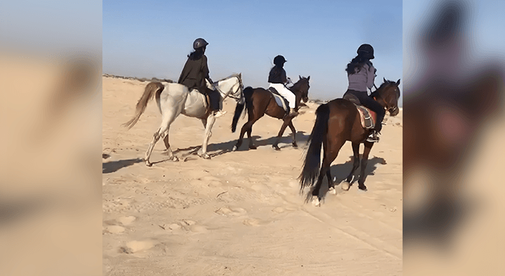 One hour Horse Riding in Dammam with Professional Captains 