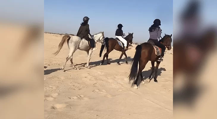 One hour Horse Riding in Dammam with Professional Captains 