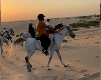 One hour Horse Riding in Dammam with Professional Captains 