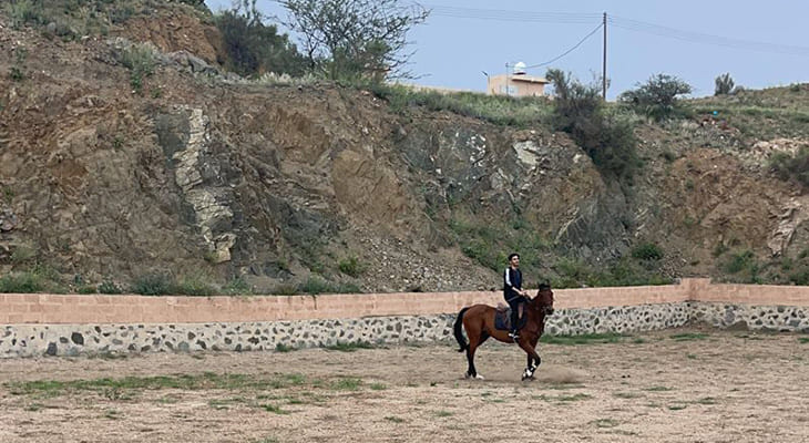 12 Classes for Learning Horse Riding in the City of Abha 