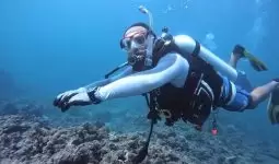 5 Hours of Diving in The Valley, Coral Garden, and Shipwrecks  