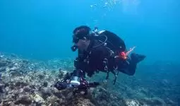 Bahrain: 5 hours Scuba Diving Experience