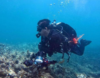 Bahrain: 5 hours Scuba Diving Experience