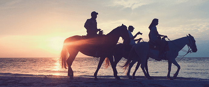 activities in Half Moon Beach_ horse riding 